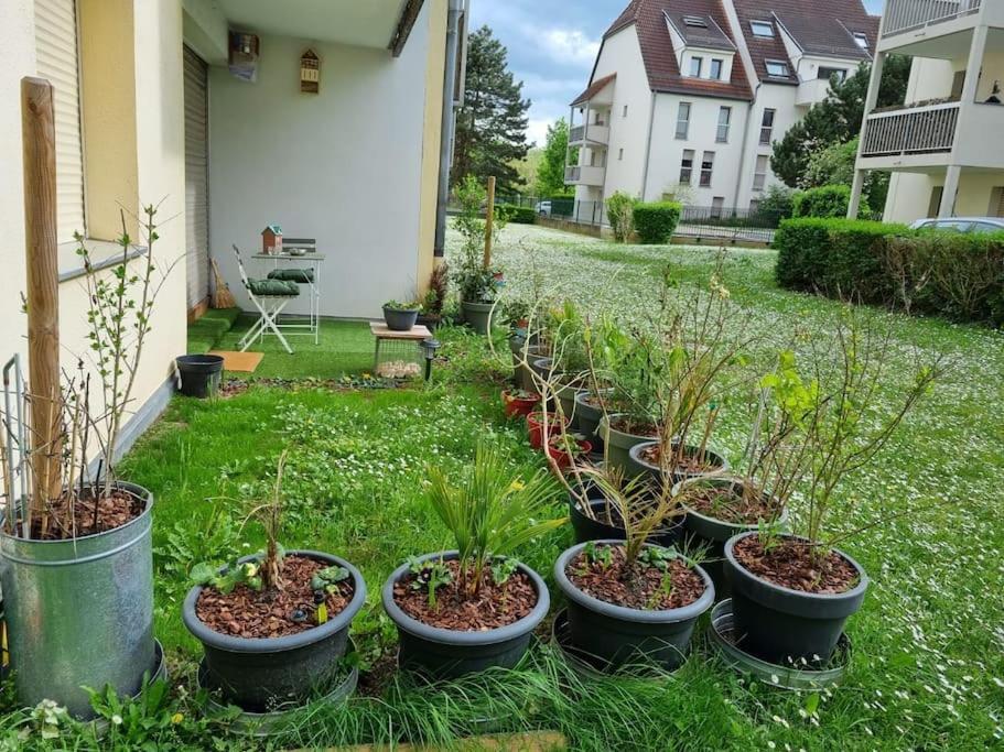 L'Univers Au Blanc. Straatsburg Buitenkant foto
